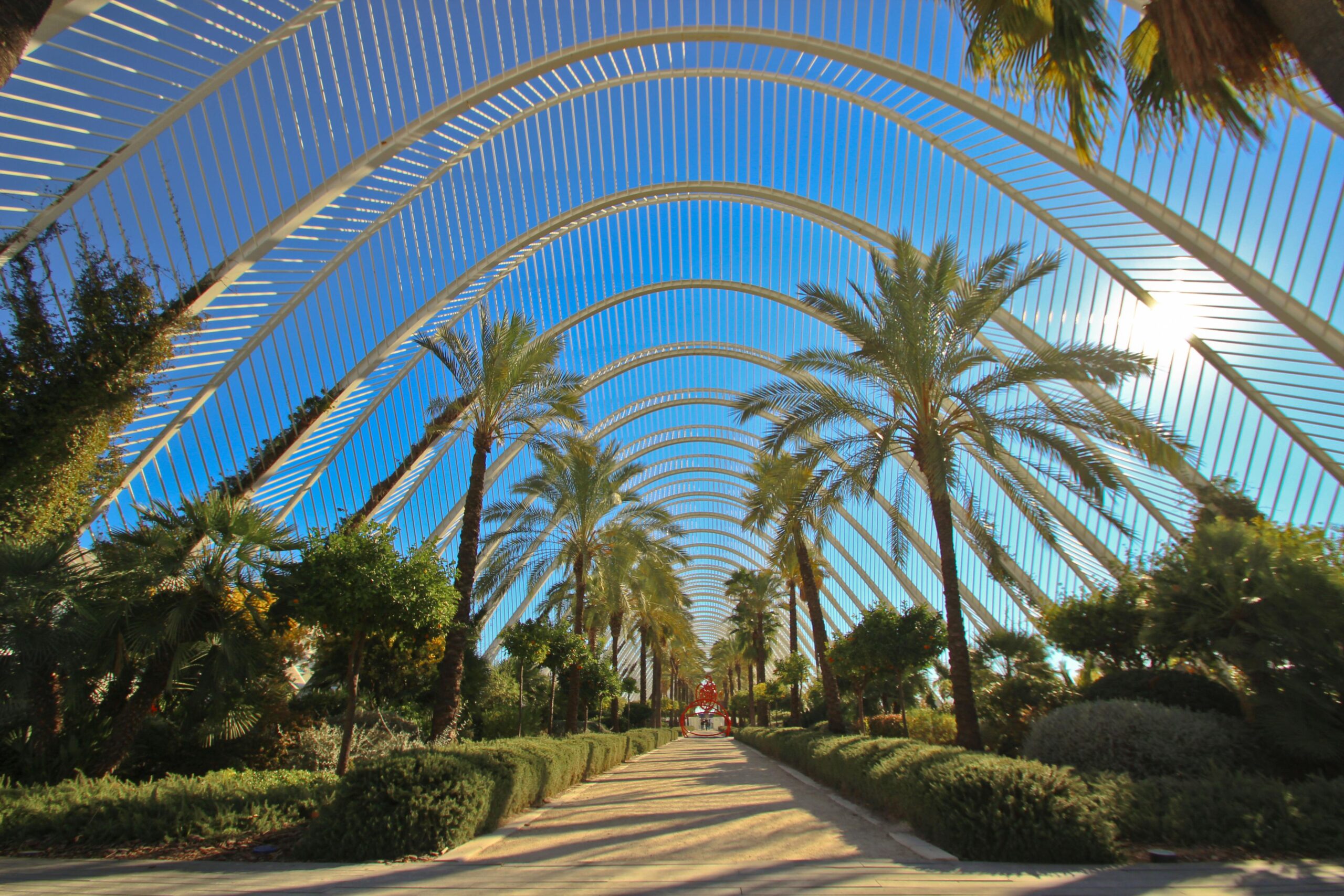 Explore the stunning arches and lush gardens of L’Umbracle in Valencia.